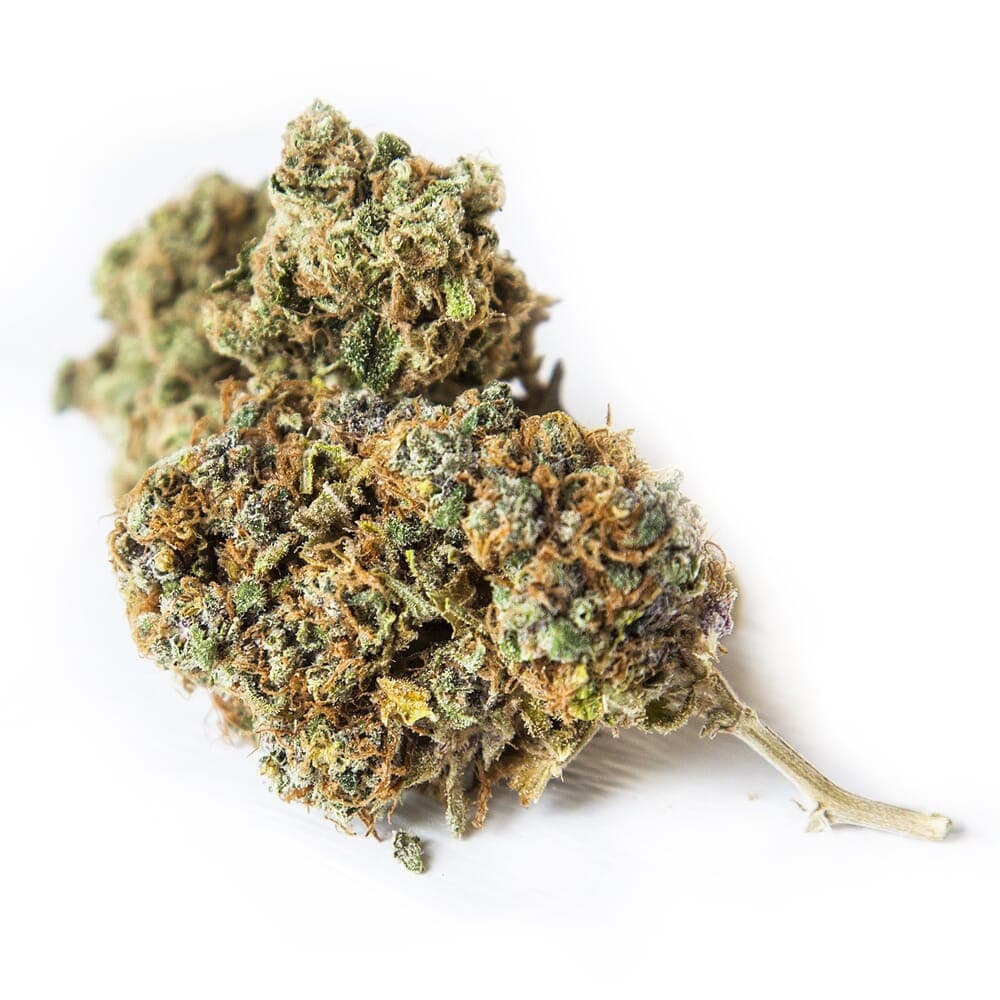 Capa Harley CBD Feminized Seeds - photo 2