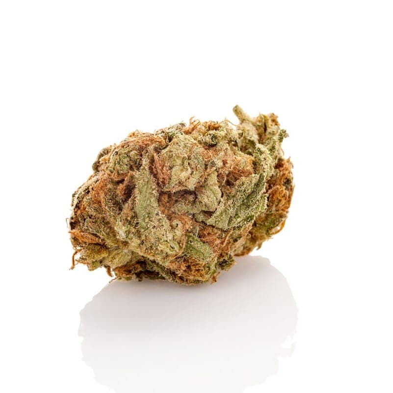 Kali Jack Feminized Seeds - photo 2