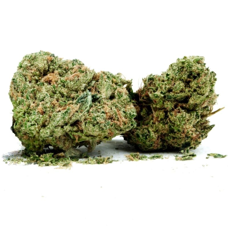 Big Bubble Feminized Seeds - photo 2