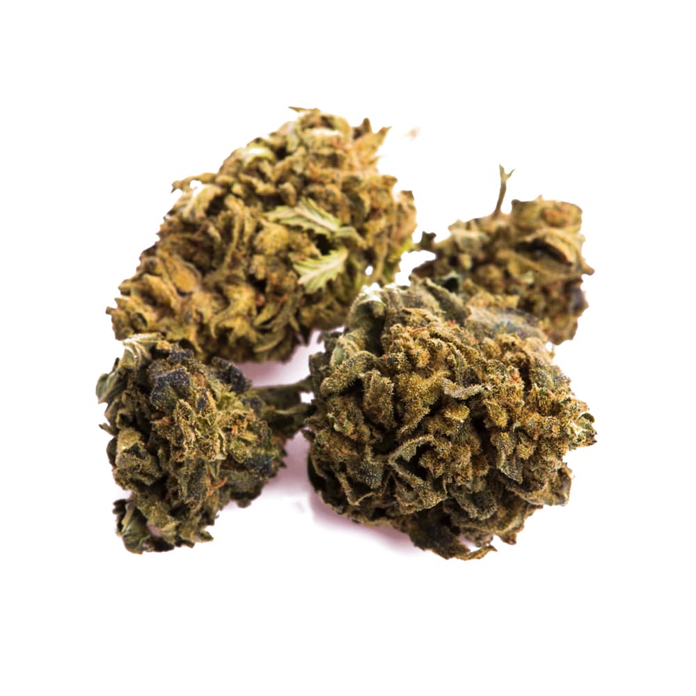 Peanut Butter Breath Feminized Seeds - photo 2
