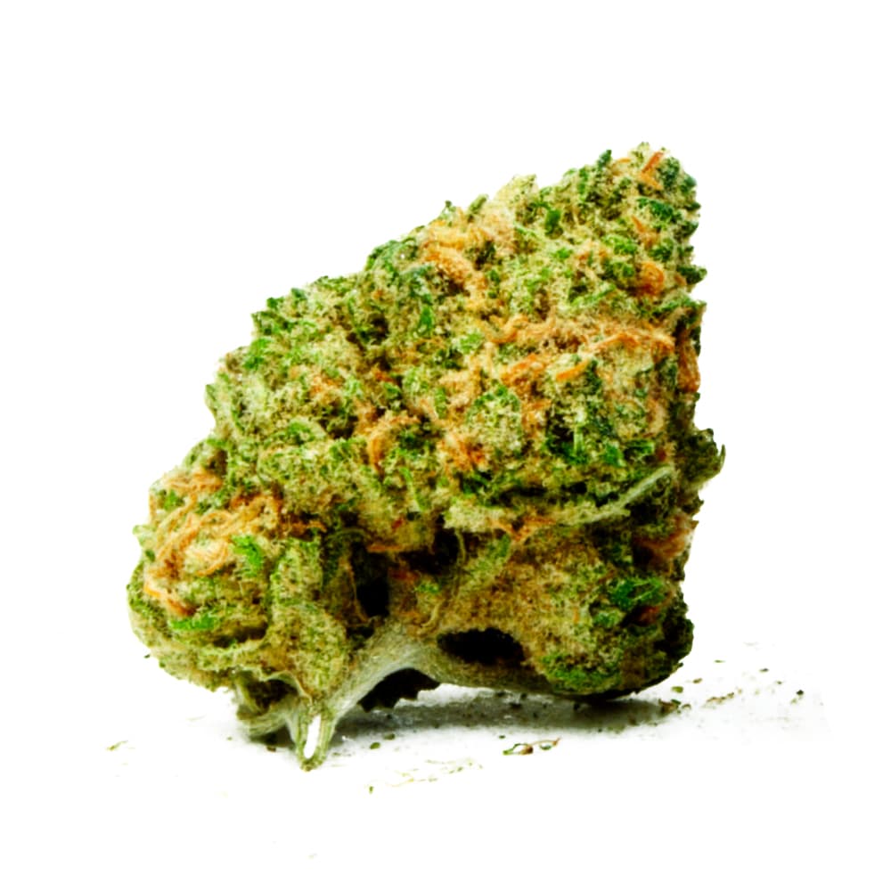 Grease Monkey Feminized Seeds - photo 2