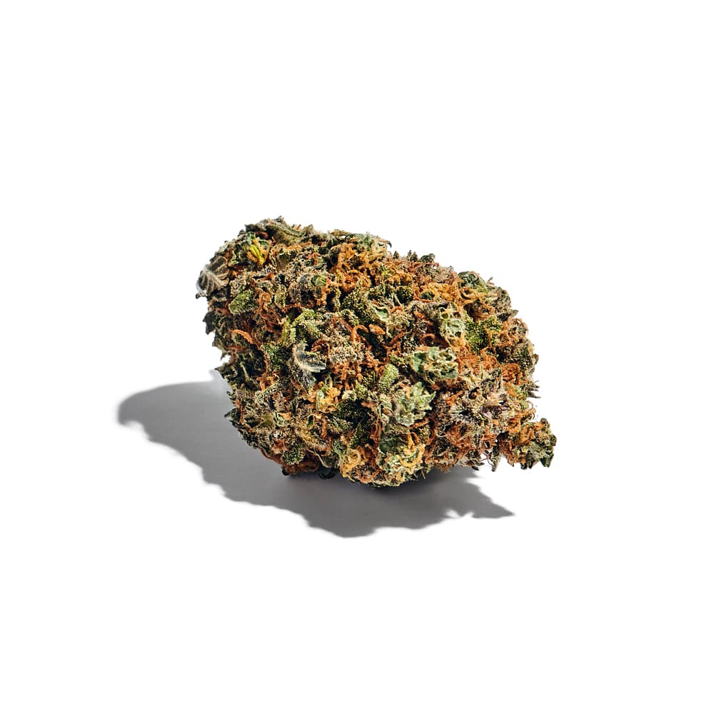 Lava Cake Feminized Seeds - photo 2