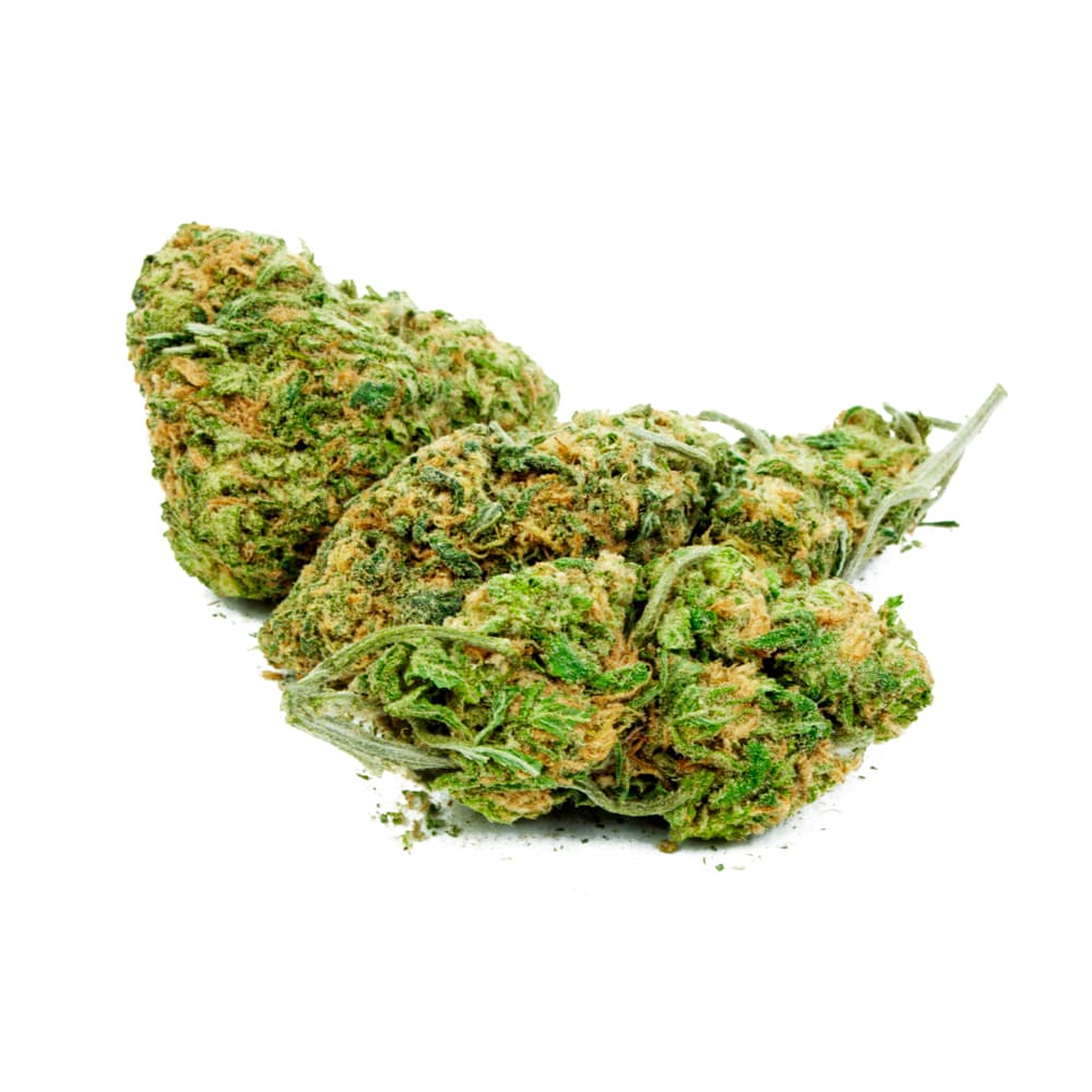 Mimosa Feminized Seeds - photo 2
