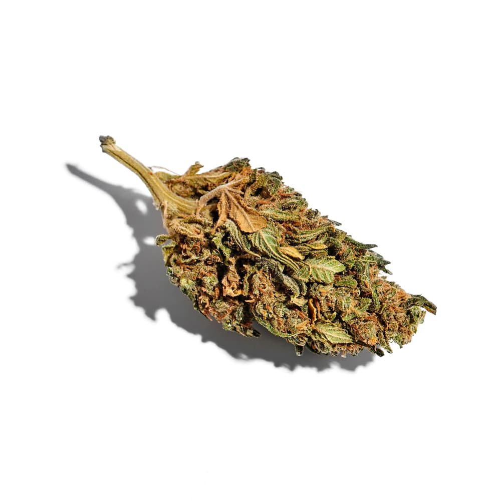 Runtz Feminized Seeds - photo 2