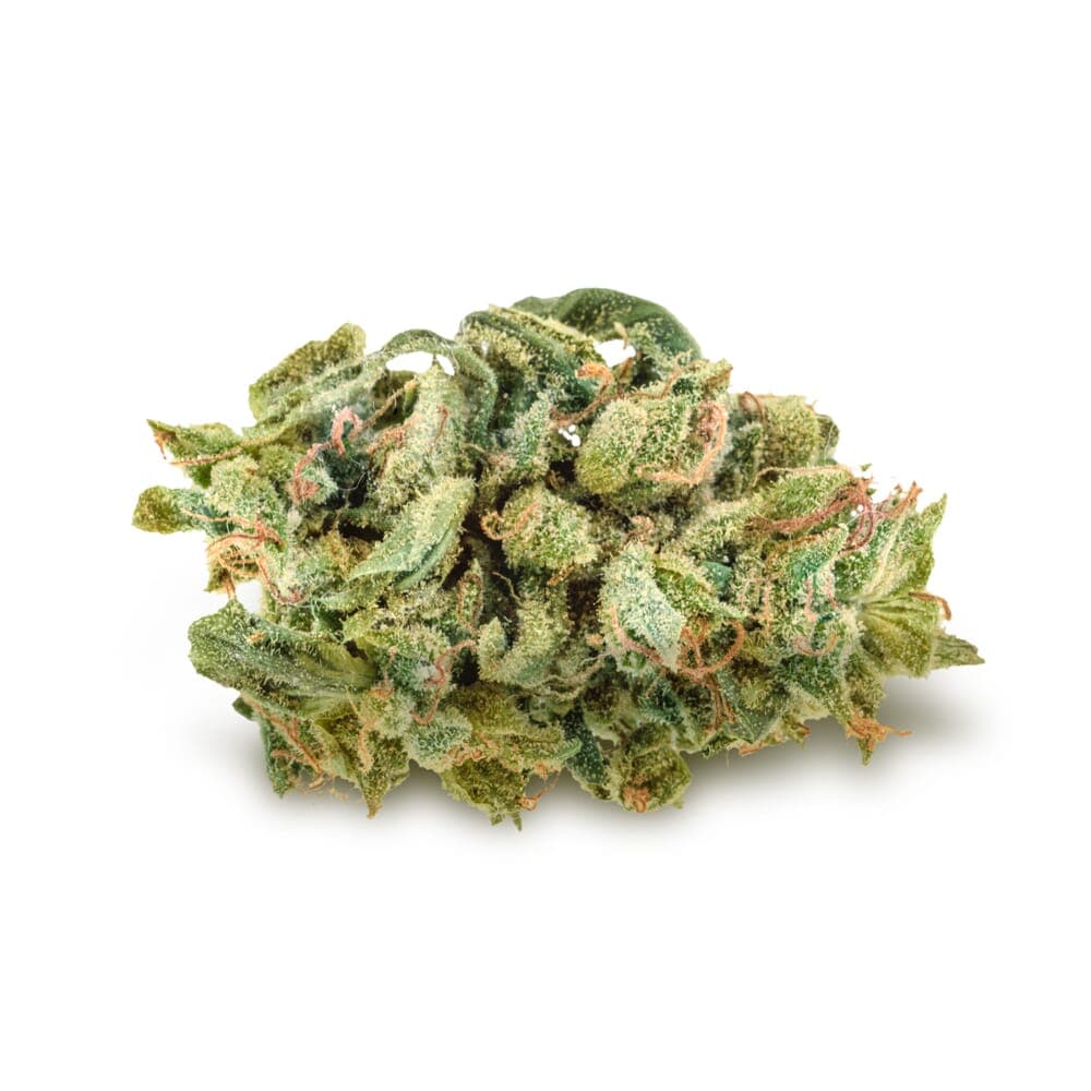 Blue Cheese Feminized Seeds - photo 2