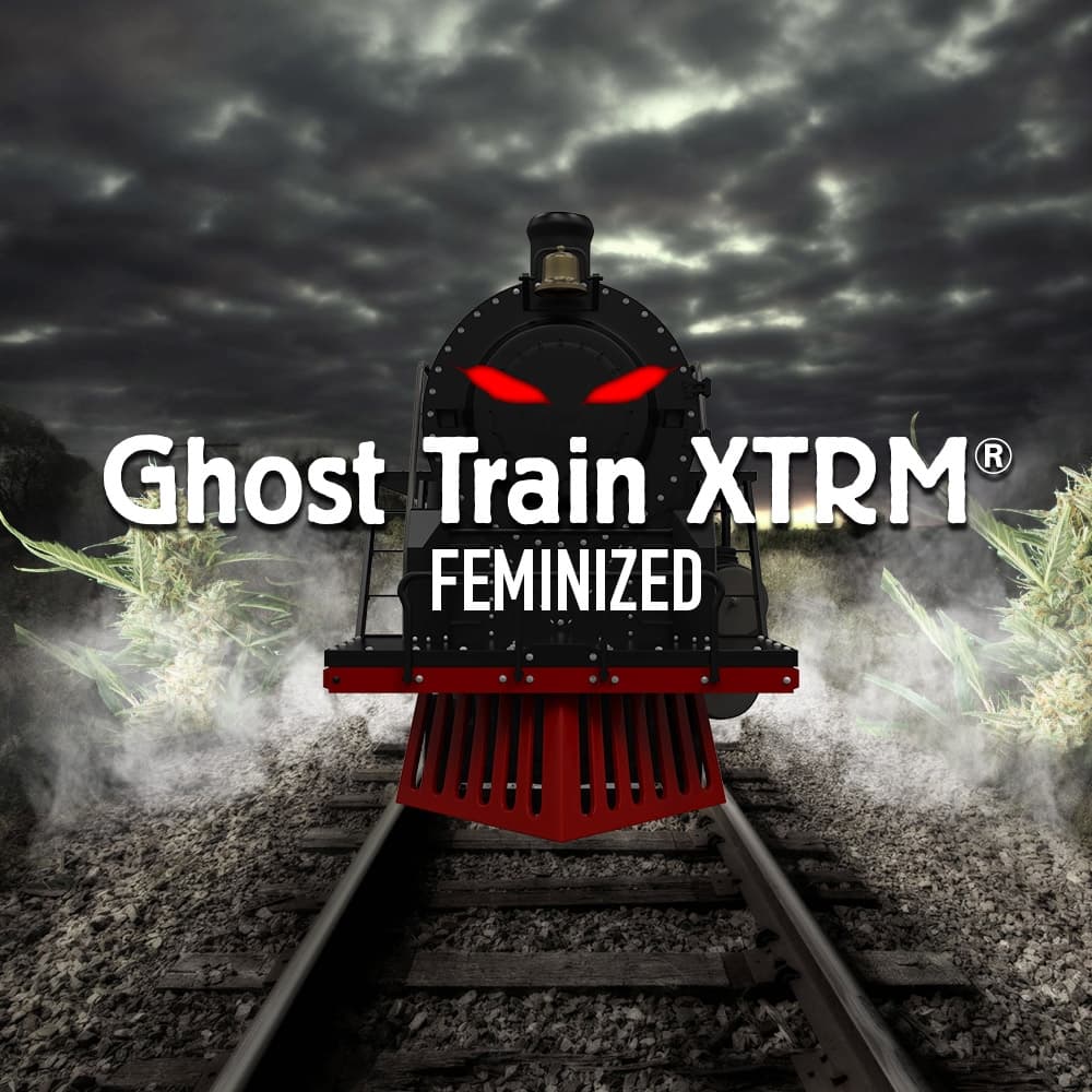 Ghost Train XTRM ® Feminized Seeds - photo 1