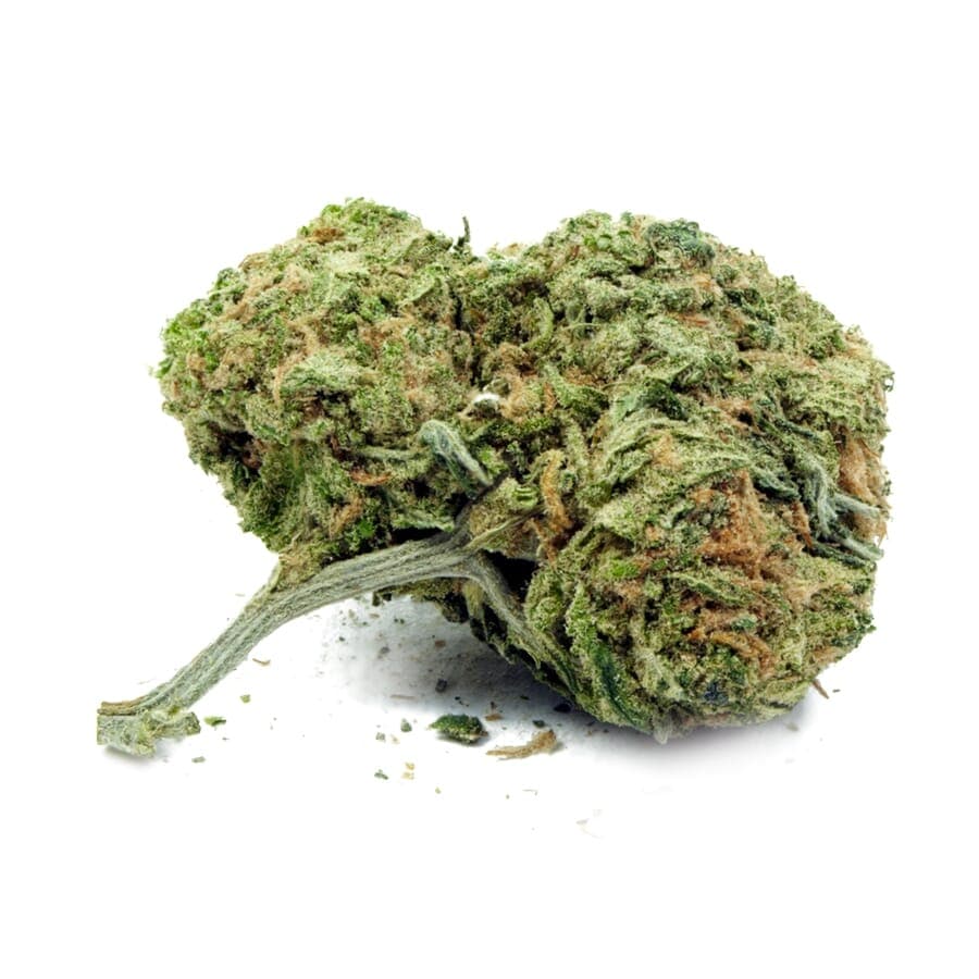 Matanuska Thunder XTRM ® Feminized Seeds - photo 2
