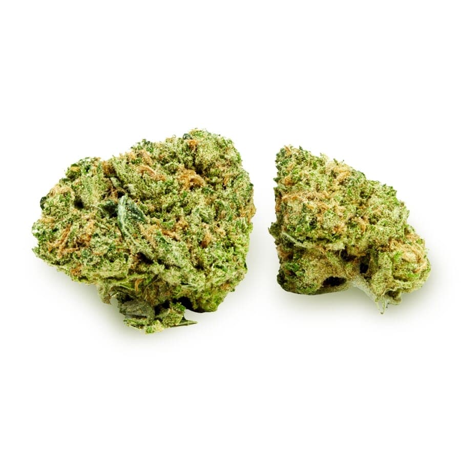 Boogie Nights ® Feminized Seeds - photo 2