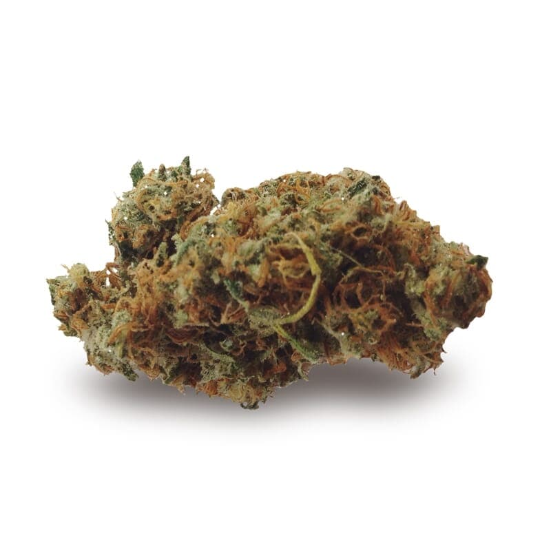 Happy Haze Feminized Seeds - photo 2