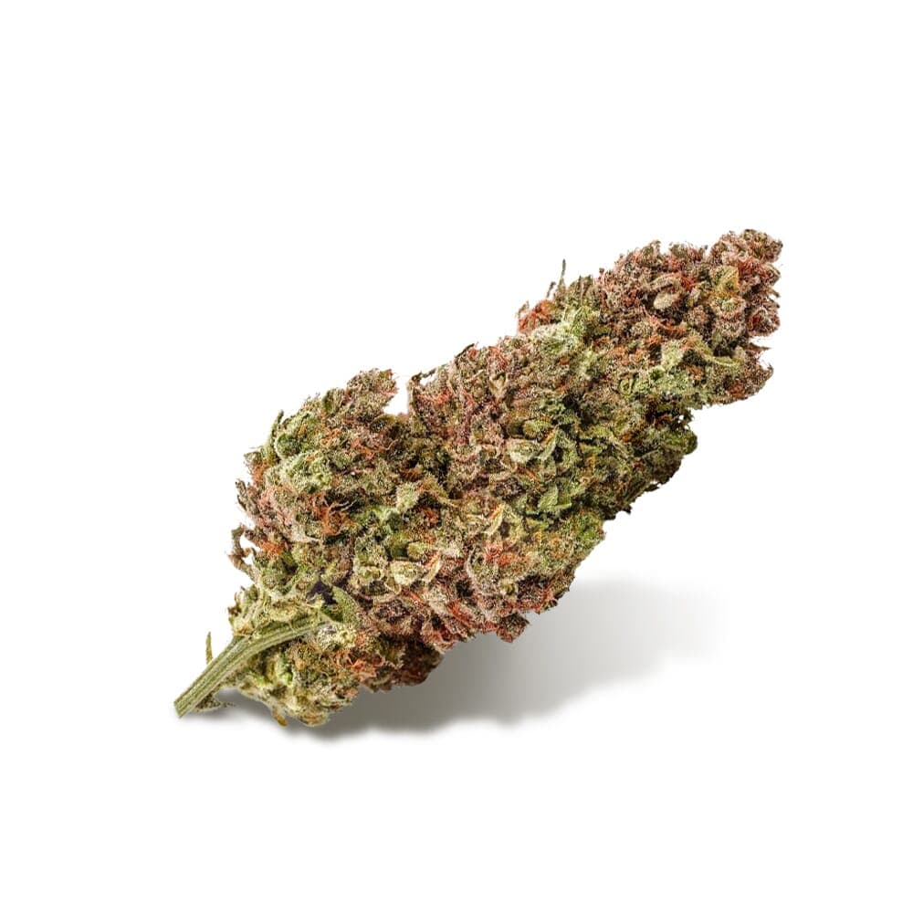 CBDoc ® Feminized Seeds - photo 2