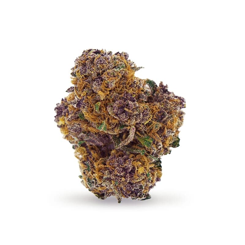 Purple Power XTRM Autoflower Seeds - photo 2