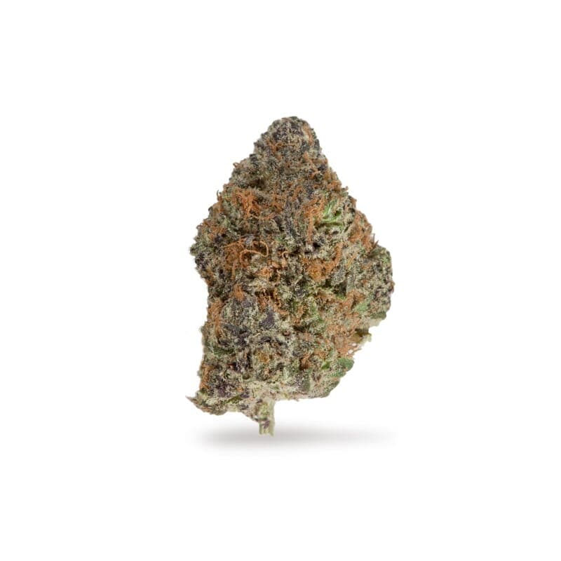 Forest Fruits Autoflower Seeds - photo 2