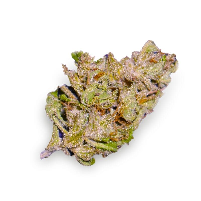 Bonfire Feminized Seeds - photo 2