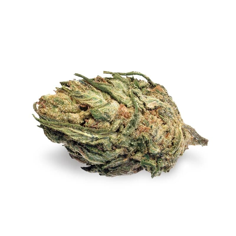 420 Carat Feminized Seeds - photo 2