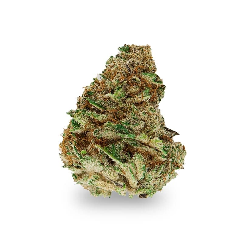 Pixie Dust Feminized Seeds - photo 2
