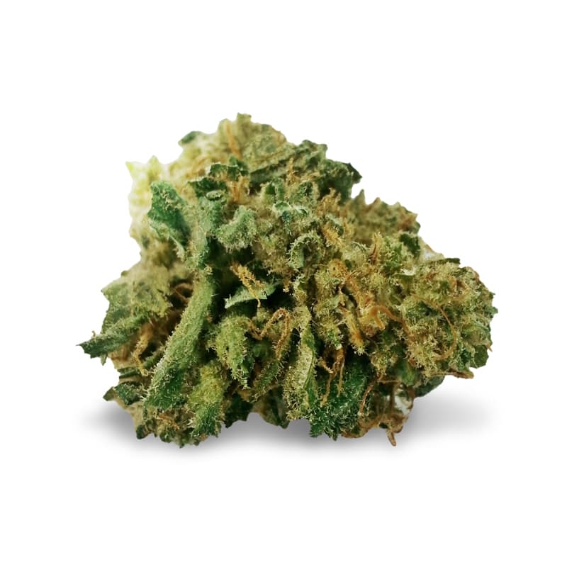 Mangolicious ® Autoflower seeds - photo 2