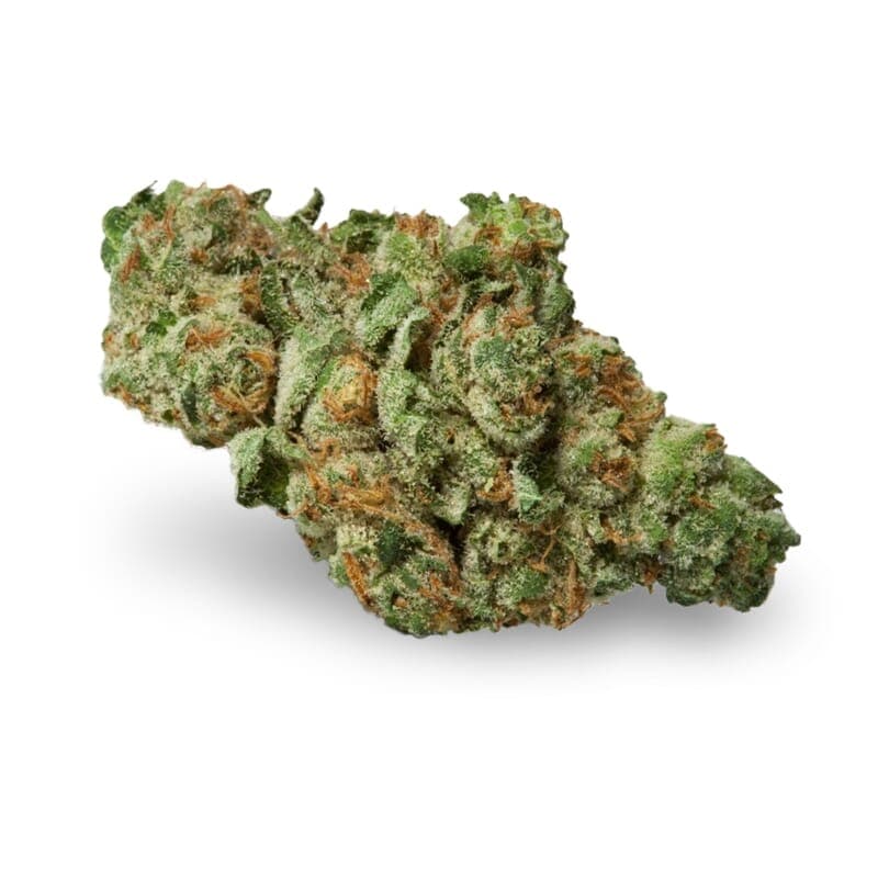 Kryptonite Feminized Seeds - photo 2