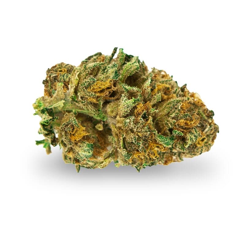 Pot of Gold Feminized Seeds - photo 2