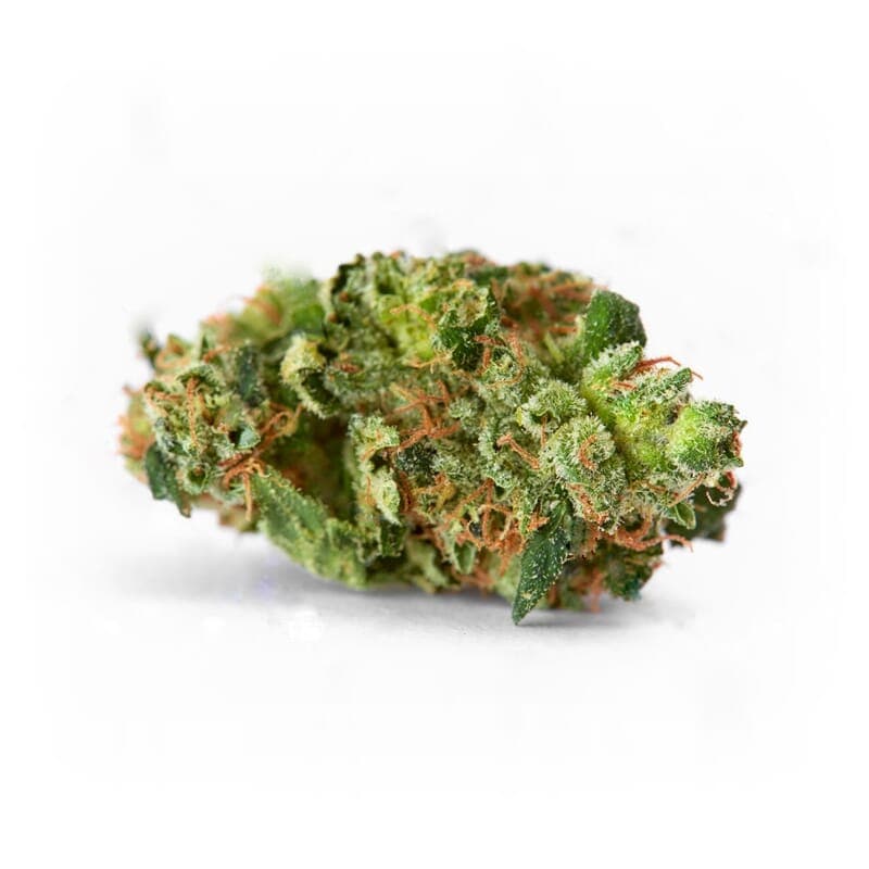 AK 47 XTRM ® Feminized Marijuana Seeds - photo 2