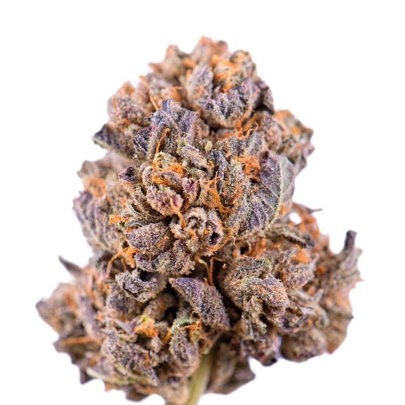Caramelicious ® Feminized Seeds - photo 2