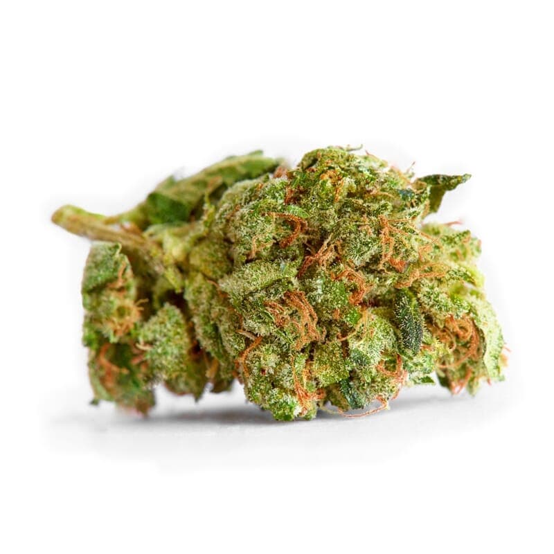 Medijuana ® Feminized Seeds - photo 2