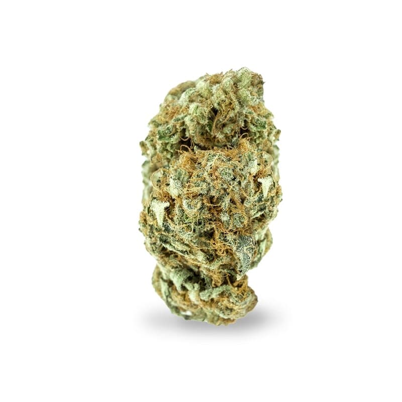 Supernova Feminized Seeds - photo 2