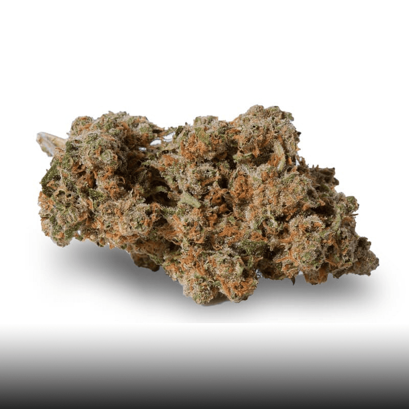 Durban Poison Feminized Seeds - photo 2