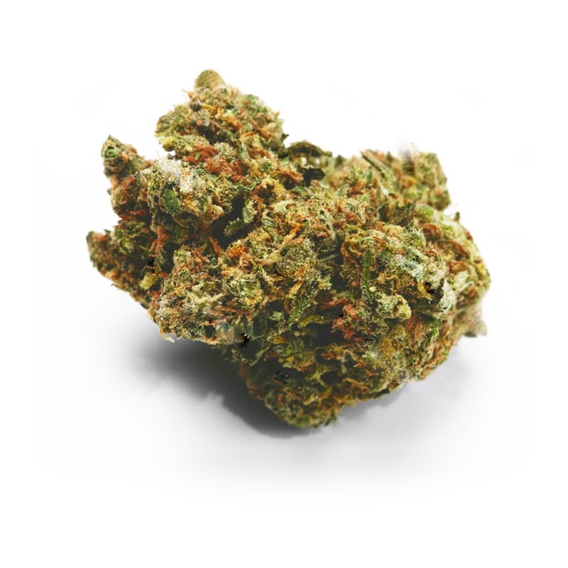Bob Marley Feminized Seeds - photo 2