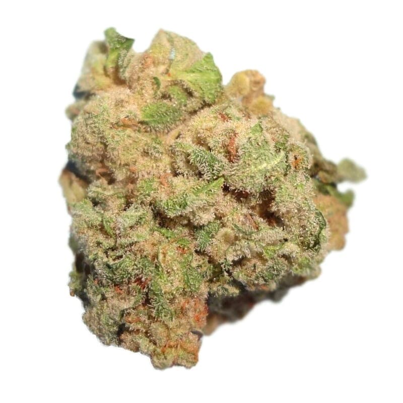 White Queen Feminized Seeds: Your Royal Highness - photo 2