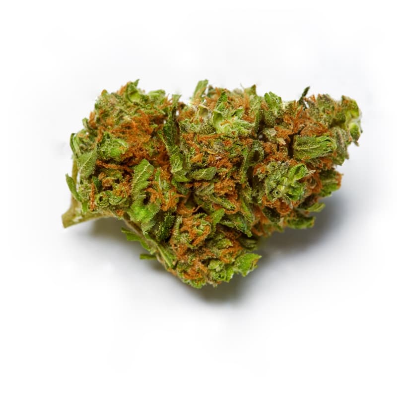 Big Black Indica Feminized Seeds - photo 2
