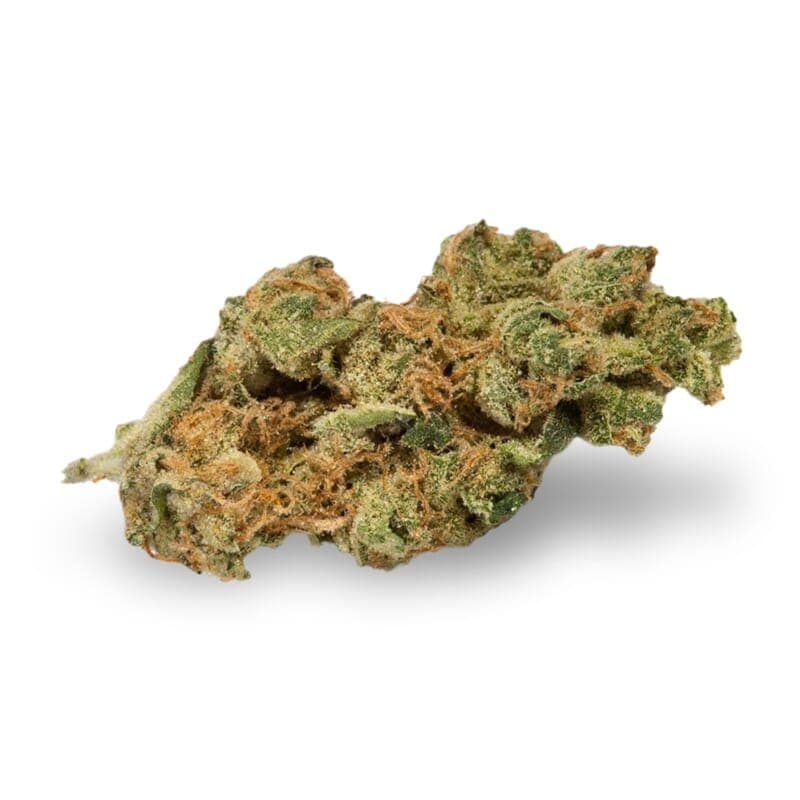 New York Turbo Diesel Regular Seeds - photo 2