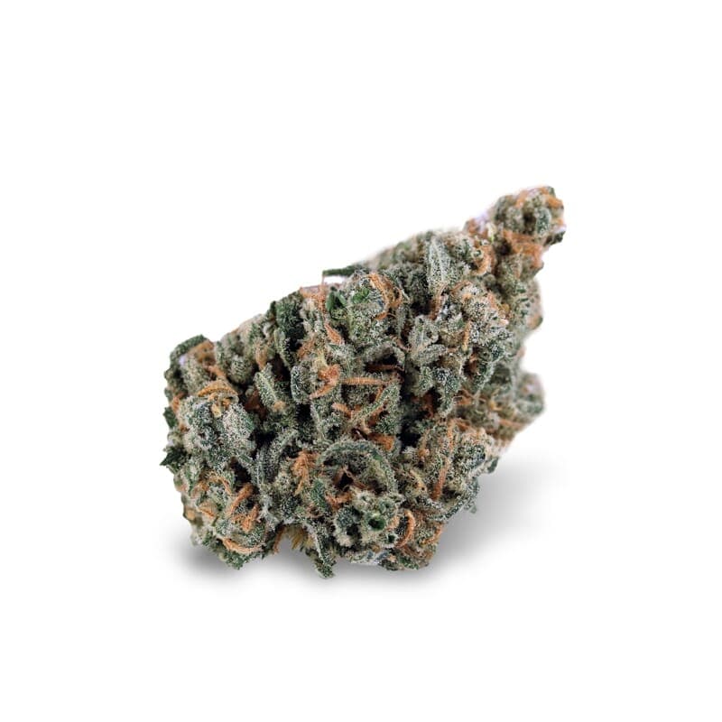 Thai Skunk Regular Seeds - photo 2