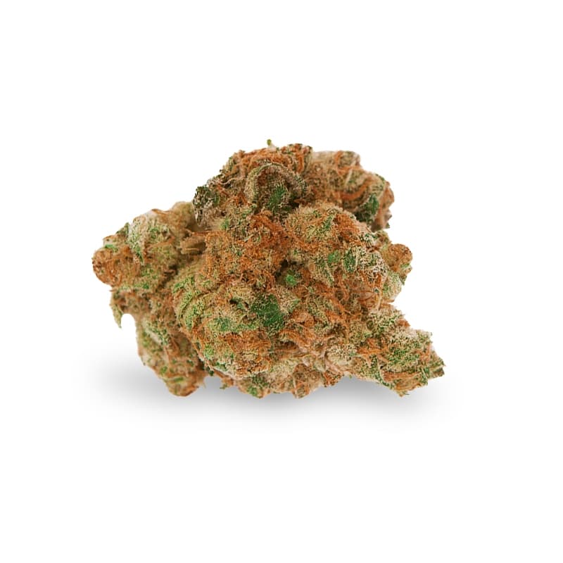 Skunk Red Hair Regular Seeds - photo 2