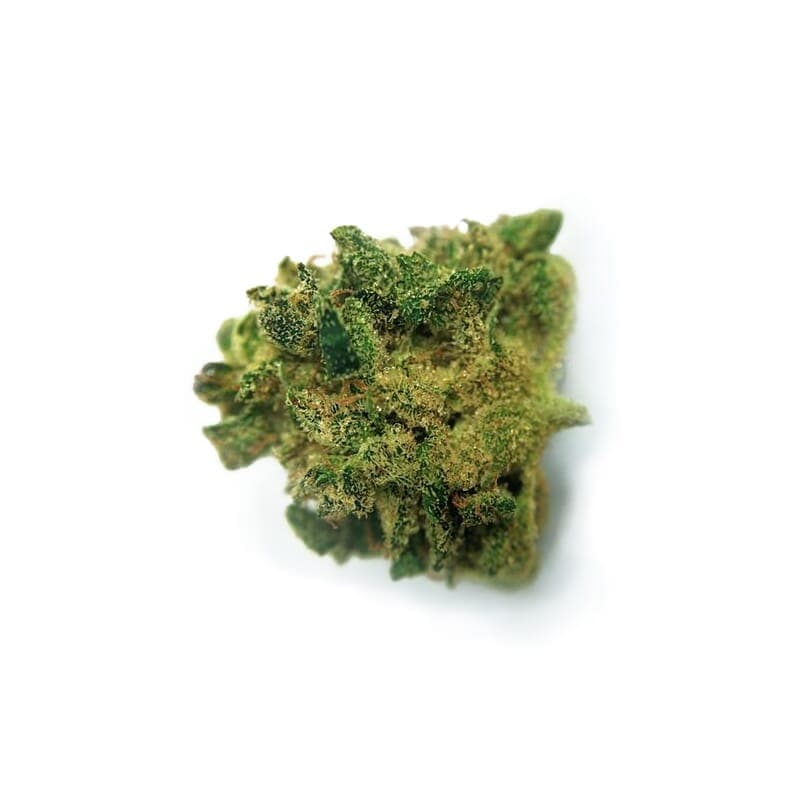 Misty Regular Seeds - photo 2