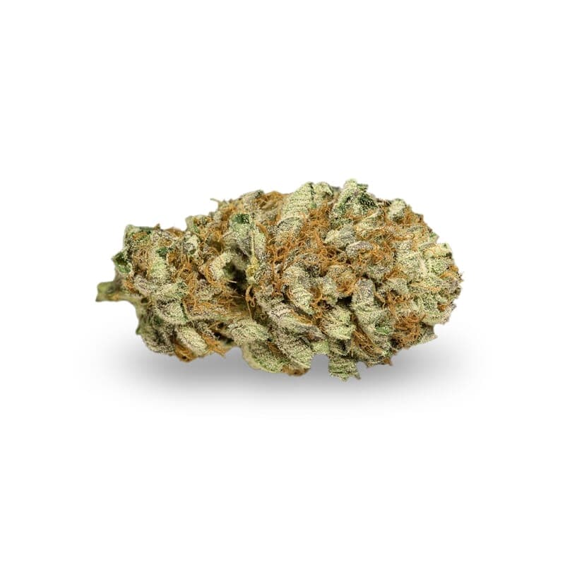 Master Kush Regular Seeds - photo 2