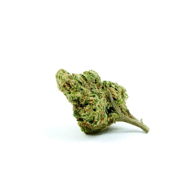 Cheese Seeds - photo 2