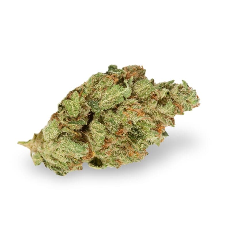 Hawaii Skunk Regular Seeds - photo 2