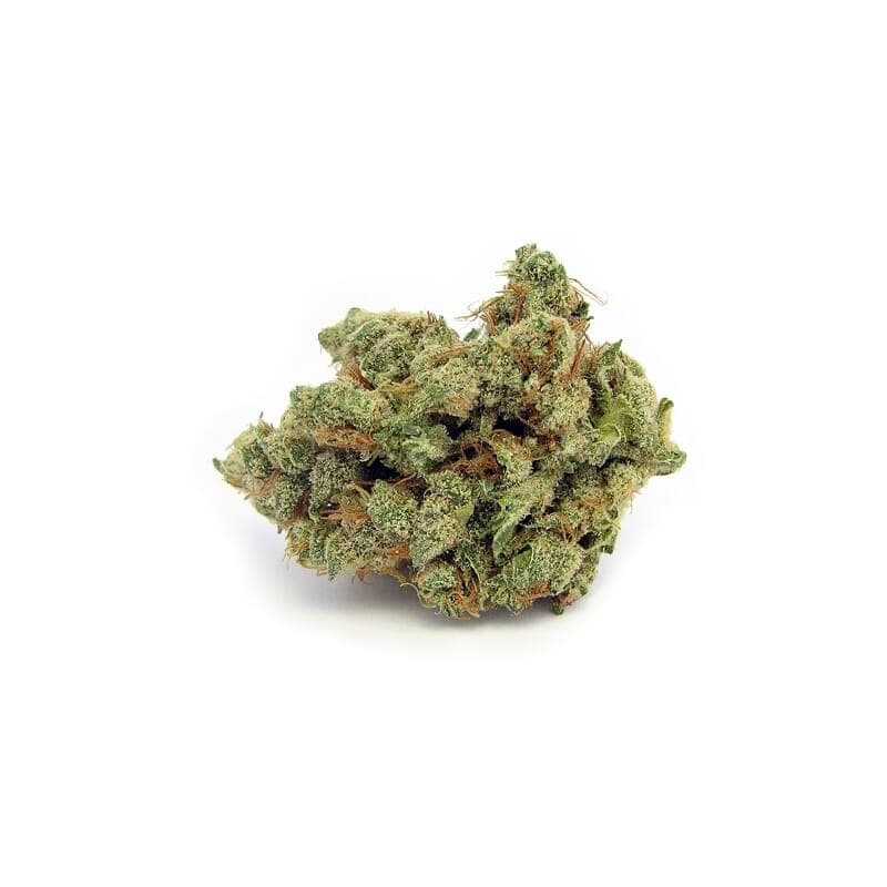 Crystal Rain Regular Seeds - photo 2