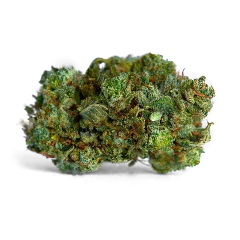 Big Bud Regular Seeds - photo 2