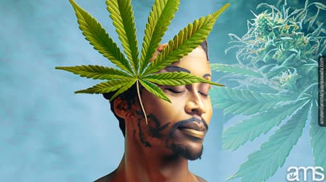 Cannabis and Self-Transcendence