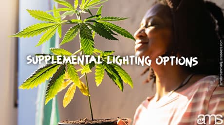 Supplemental Lighting to Optimize Plant Growth and Yields