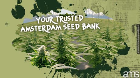 AMS: Amsterdam Seed Bank since 1996
