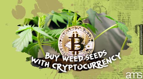Buy Weed Seeds with Bitcoins