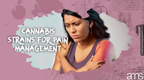 Cannabis Strains For Pain Management