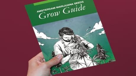 Marijuana Grow Guide: Chapters 10-15