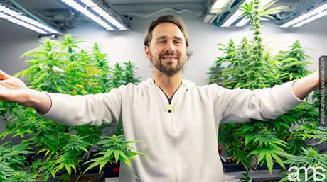 Indoor Cannabis Cultivation: From Seed to Harvest Guide
