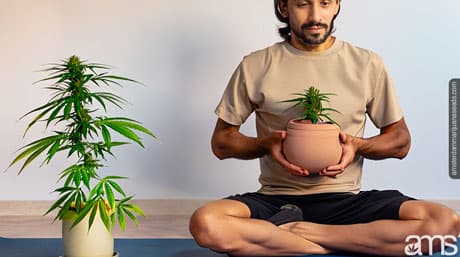 Why Yogis Love Cannabis