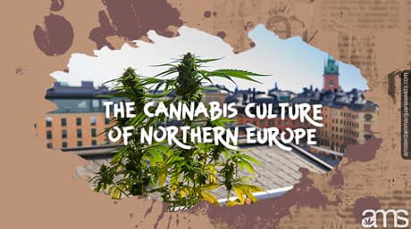 Discover Northern Europe’s Cannabis Culture