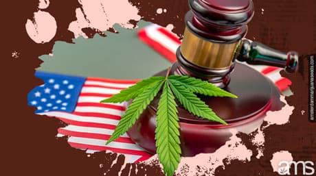 The legal status of cannabis cultivation around the world