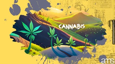 Cannabis Cultivation: Unleash Your Green Thumb